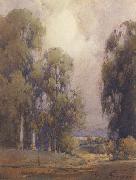 unknow artist Eucalyptus Landscape painting